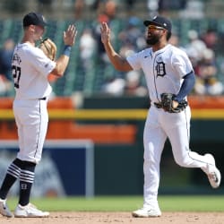 a picture of 2 tigers players